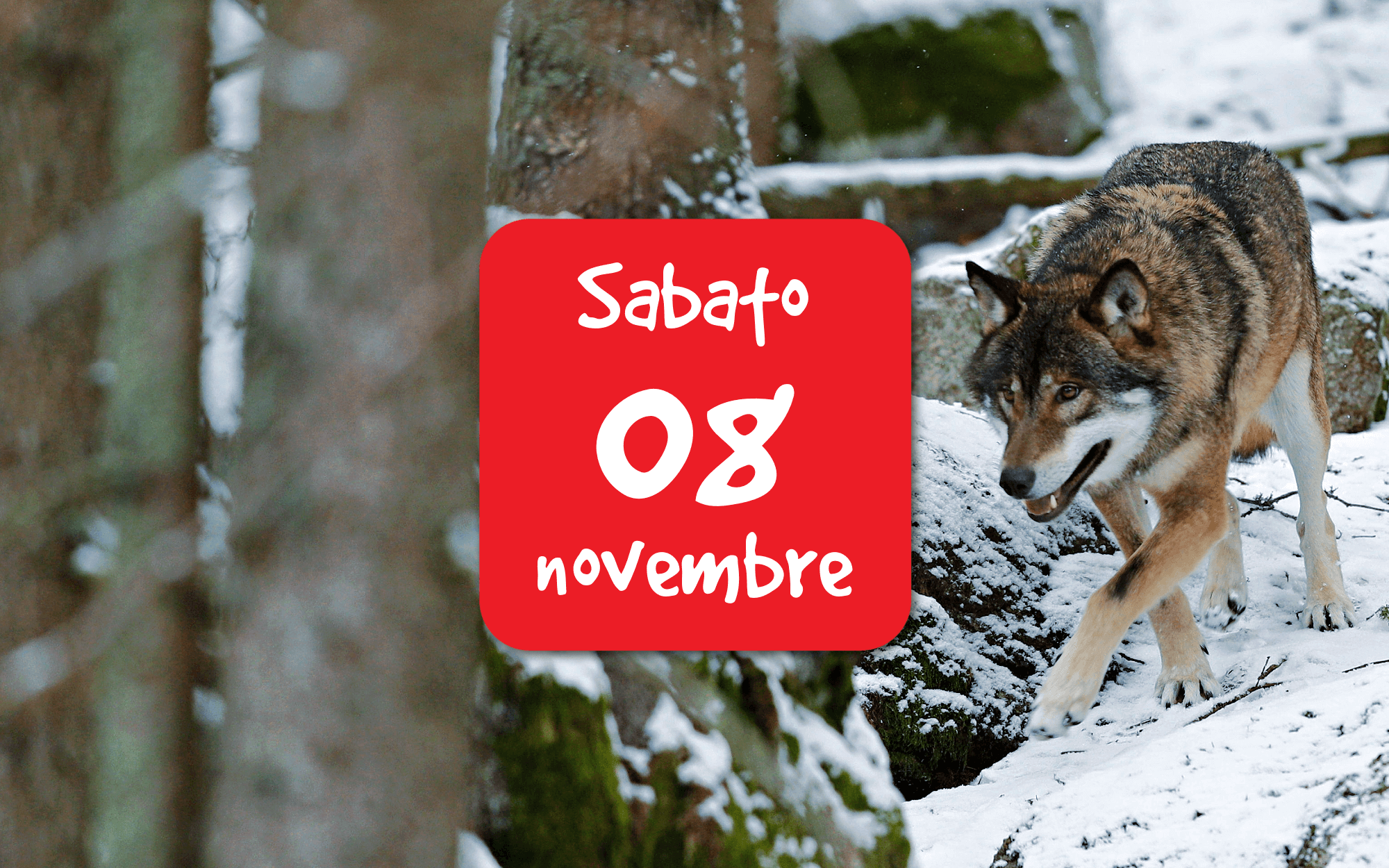 Conferenza “Grandi carnivori italiani”