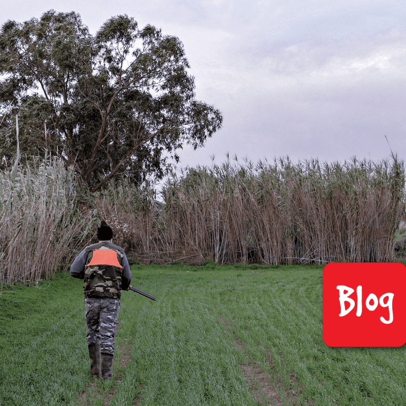 Piombo: uccide due (e più)&nbsp;volte