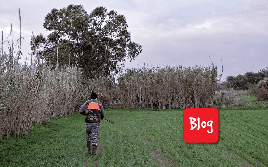 Piombo: uccide due (e più)&nbsp;volte