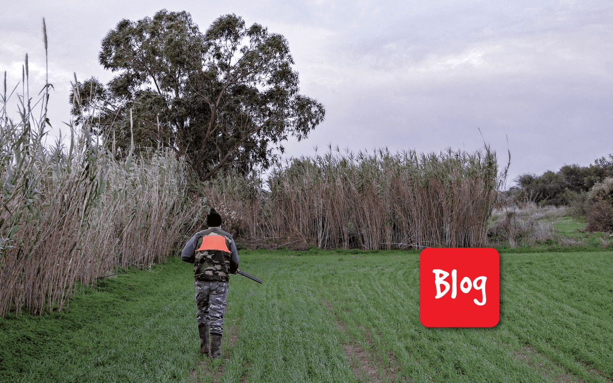 Piombo: uccide due (e più)&nbsp;volte