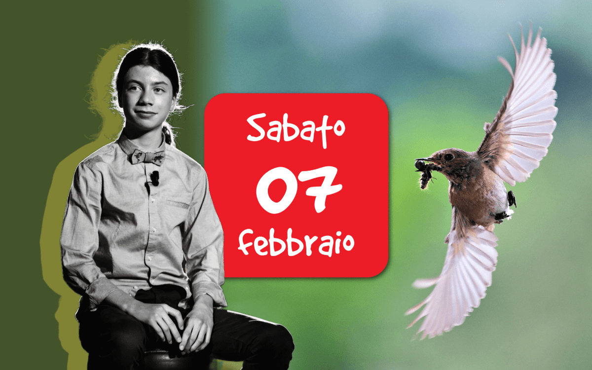 Conferenza “Le ali dell’intelligenza” di Francesco&nbsp;Barberini