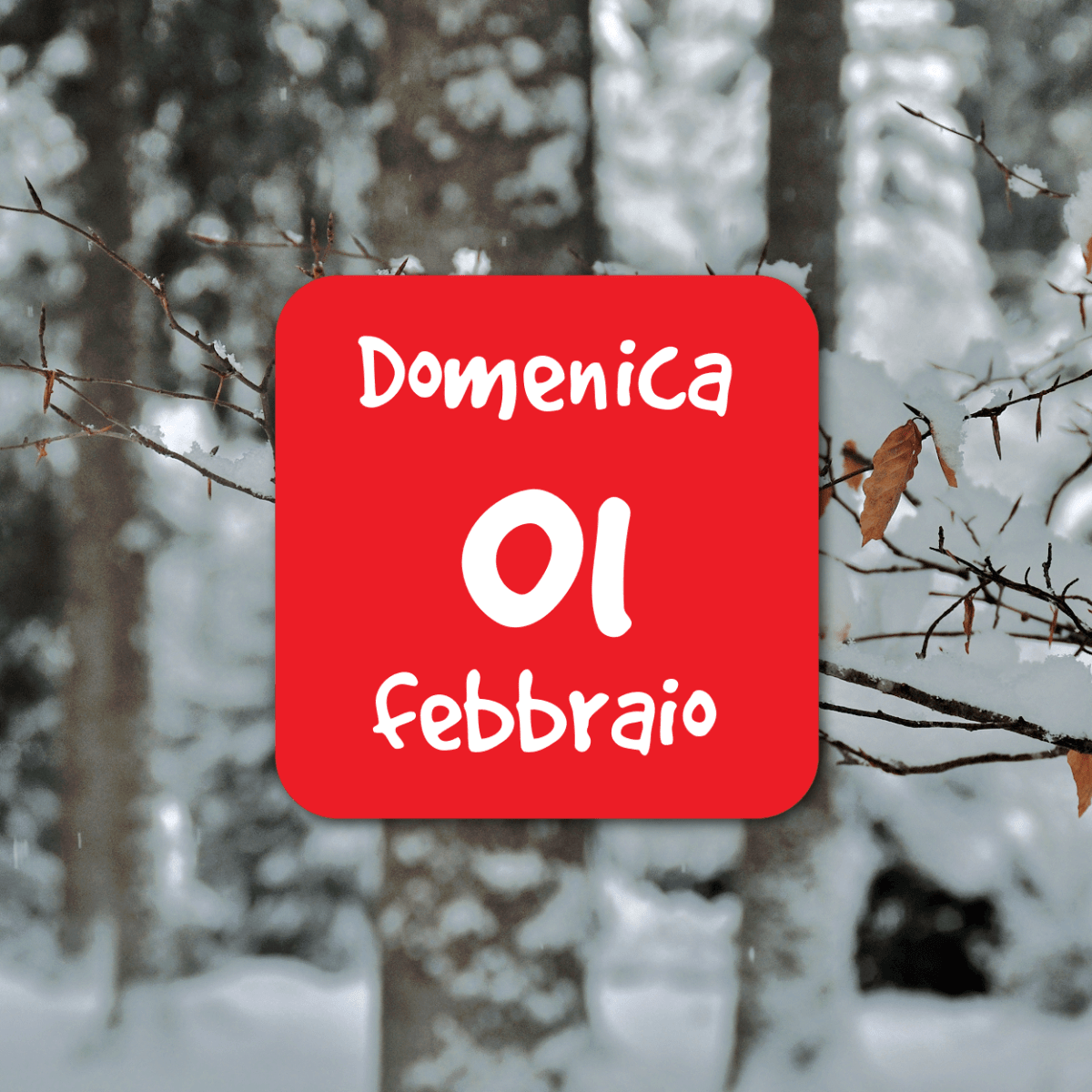 Snow tracking in&nbsp;Cansiglio