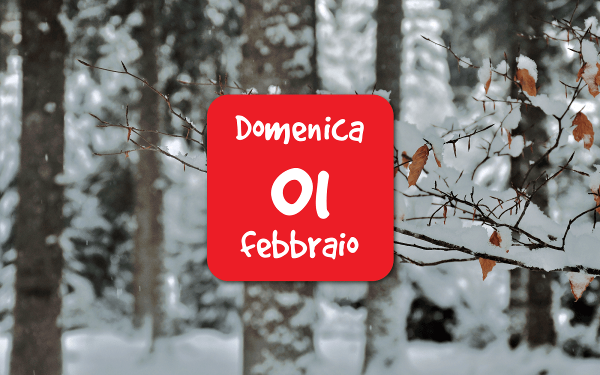 Snow tracking in&nbsp;Cansiglio