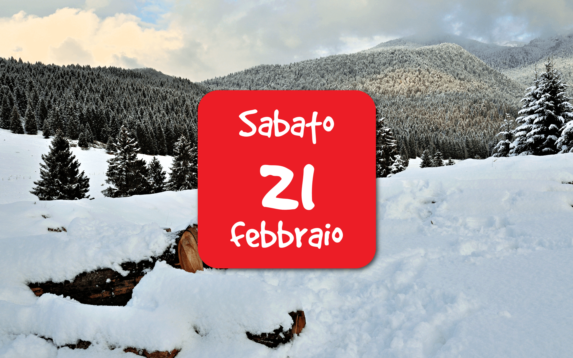 Snow tracking in Cansiglio – seconda edizione