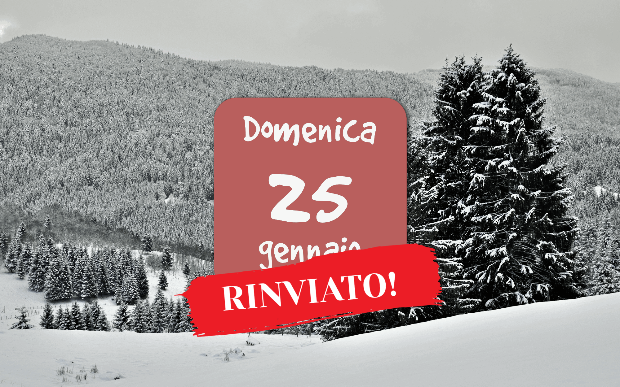 Snow tracking in Cansiglio – RINVIATO