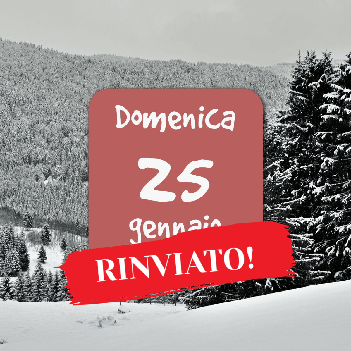 Snow tracking in Cansiglio –&nbsp;RINVIATO