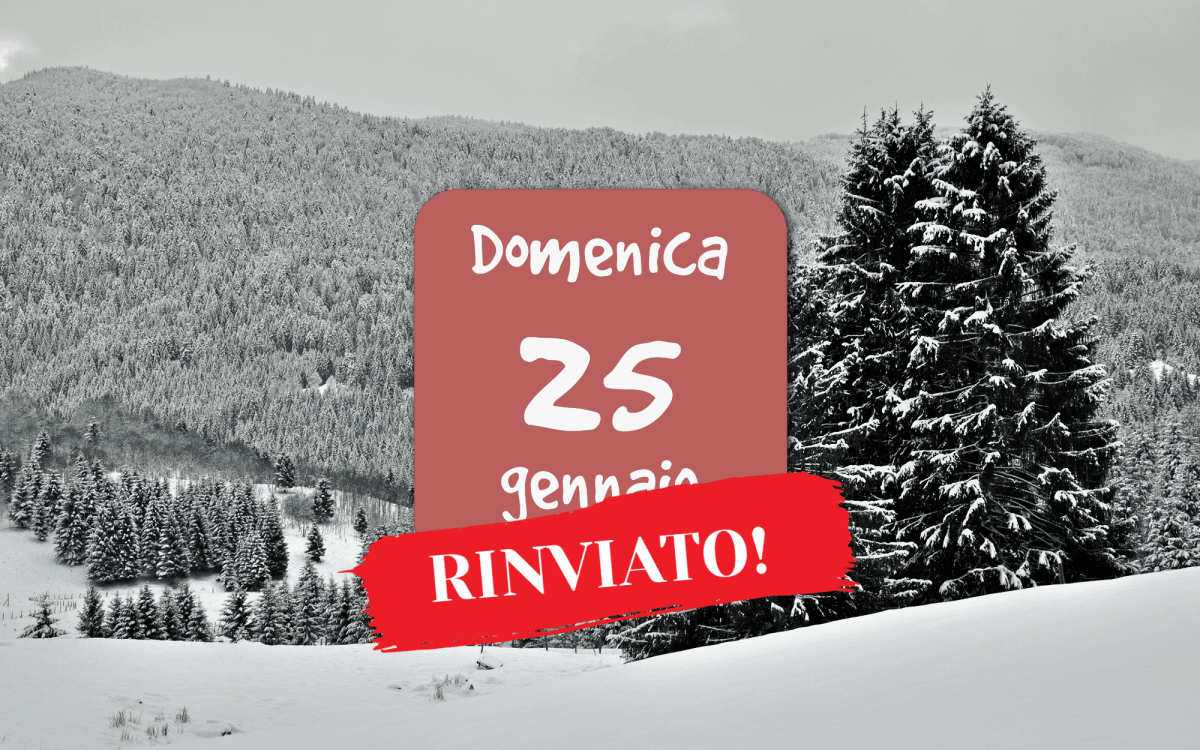 Snow tracking in Cansiglio –&nbsp;RINVIATO