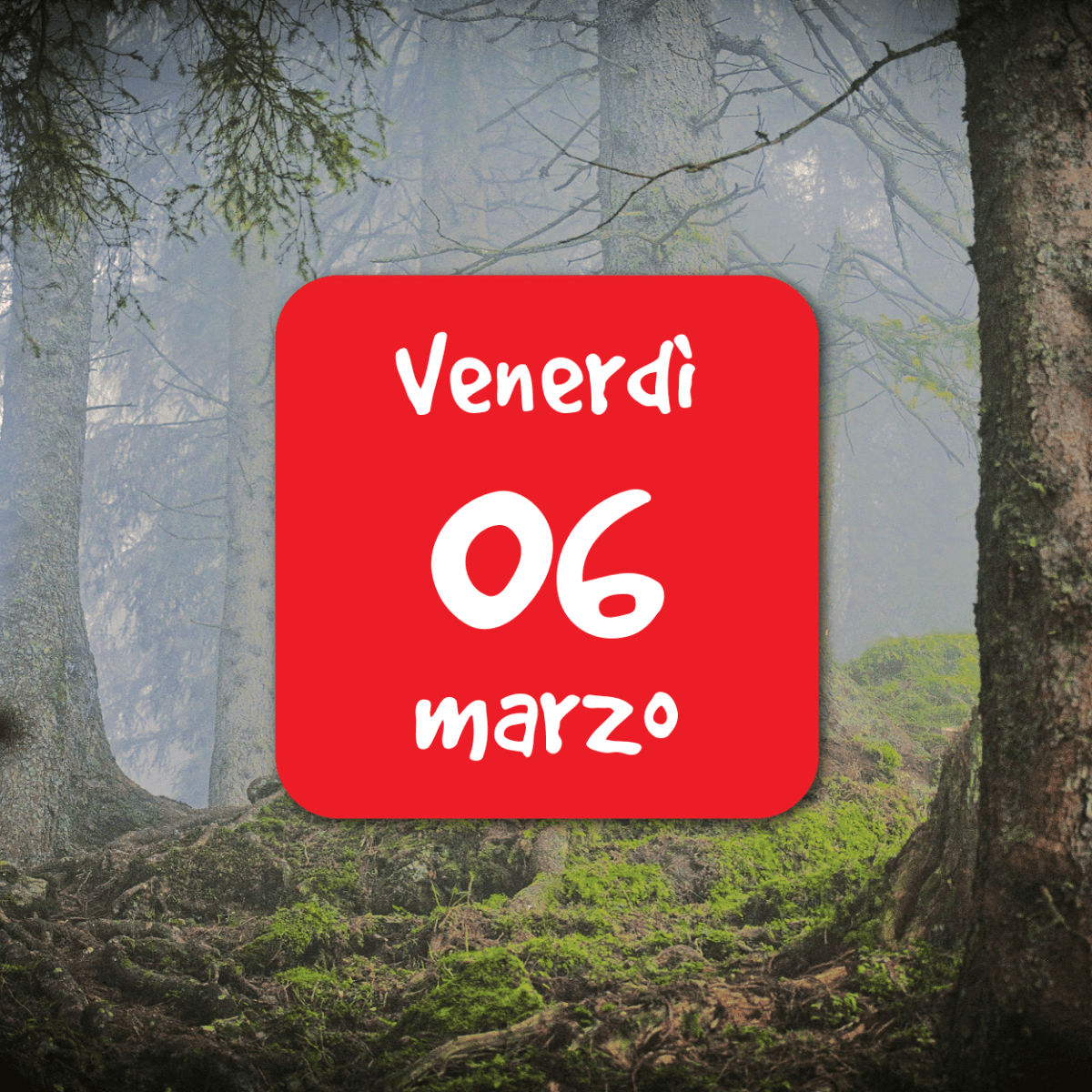 Conferenza “Contatto uomo/fauna”