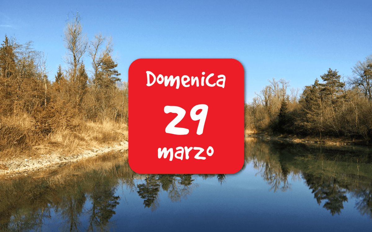 Vincheto di Celarda – Il ruolo dell’Arma nella custodia di animali pericolosi e&nbsp;protetti