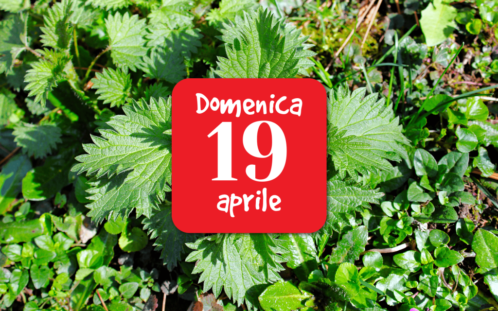 Passeggiata erboristica ai piedi della&nbsp;Talvena