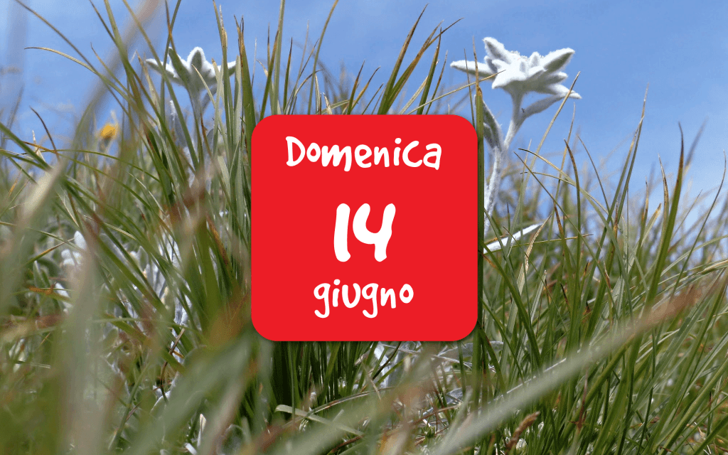 Gli habitat e la flora del Giardino Botanico delle Alpi&nbsp;Orientali