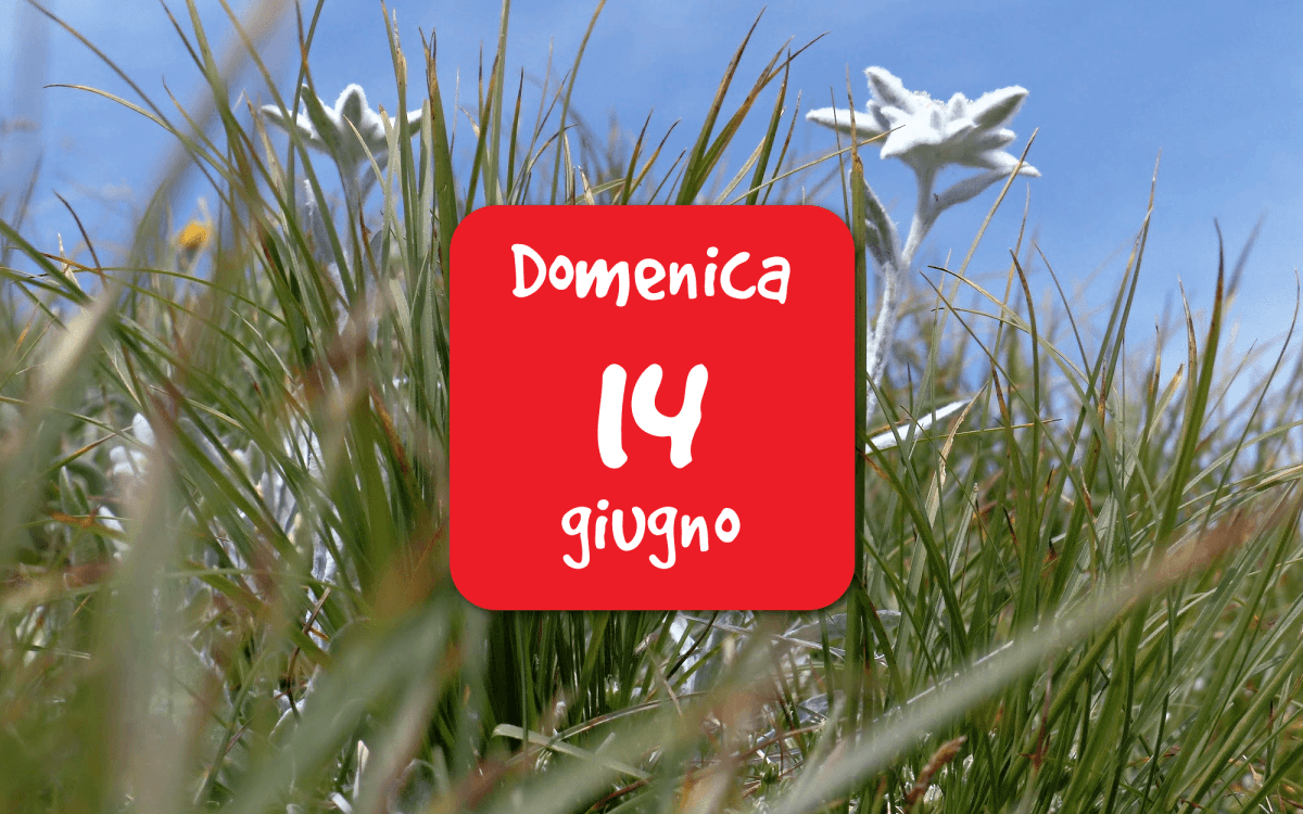 Gli habitat e la flora del Giardino Botanico delle Alpi&nbsp;Orientali