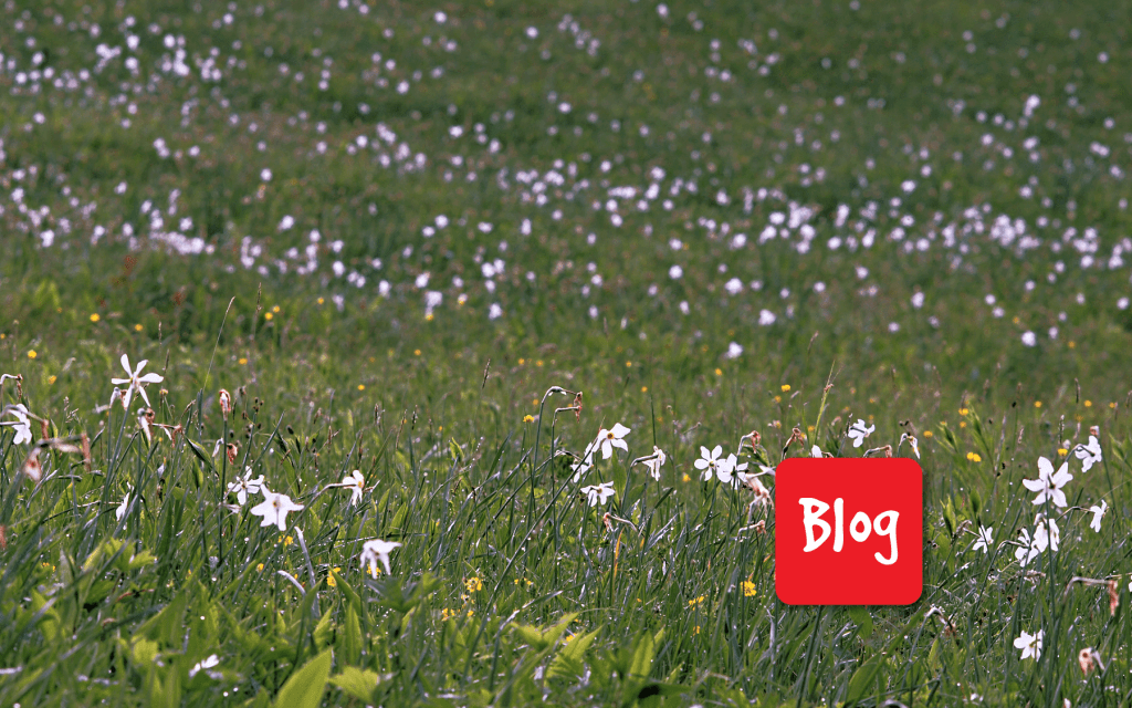 Tre incontri con il Reparto Carabinieri Biodiversità di&nbsp;Belluno
