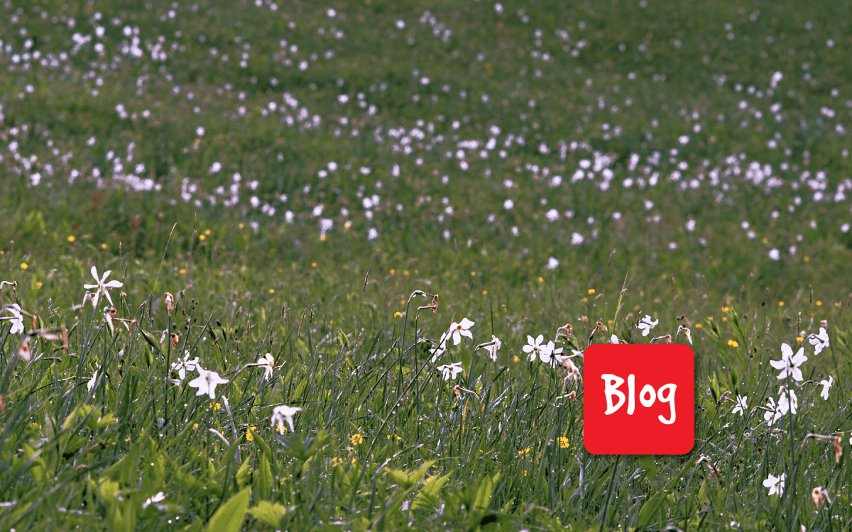 Tre incontri con il Reparto Carabinieri Biodiversità di&nbsp;Belluno