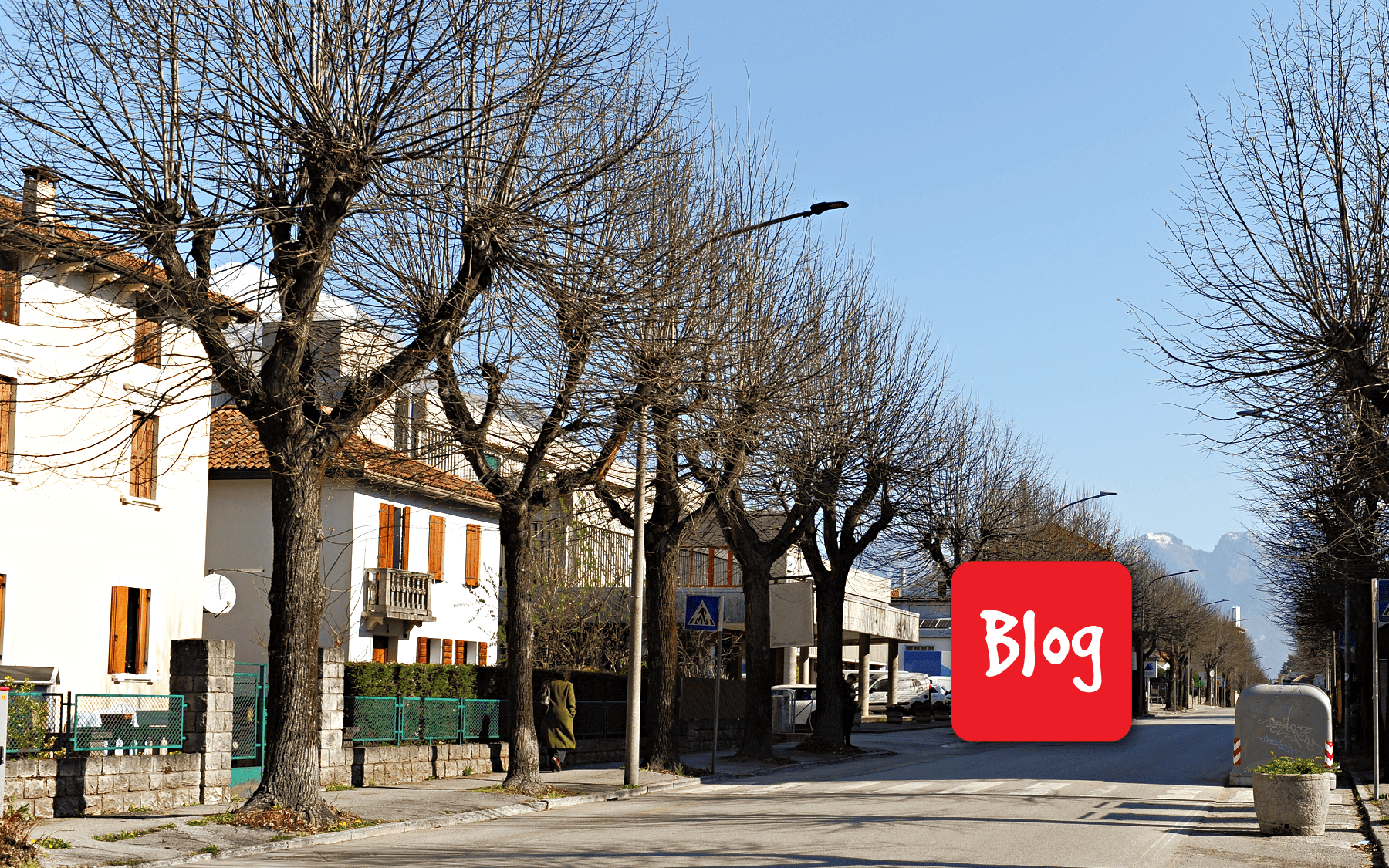 Chi li vuole gli alberi di via Feltre?
