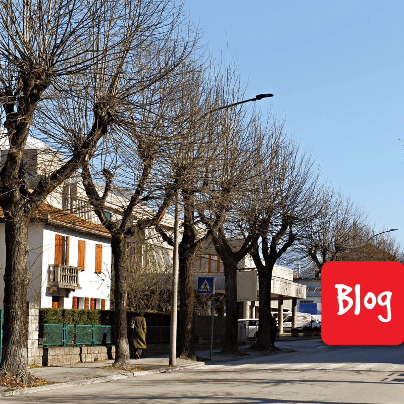 Chi li vuole gli alberi di via&nbsp;Feltre?