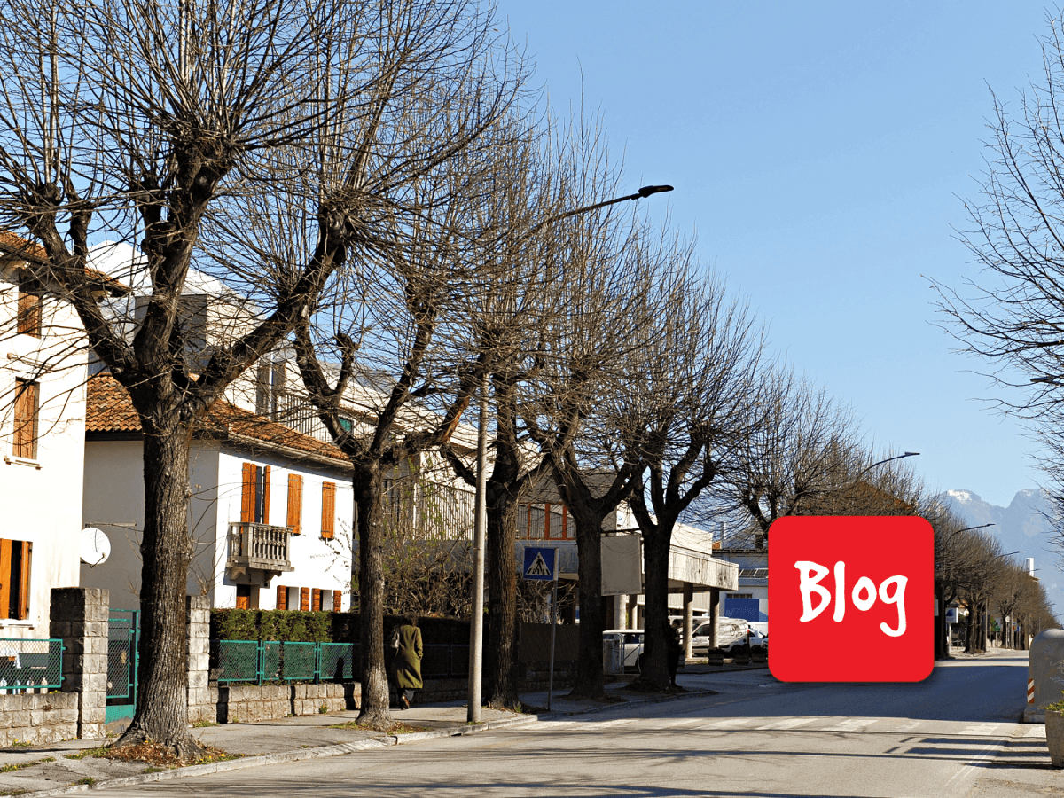 Chi li vuole gli alberi di via&nbsp;Feltre?