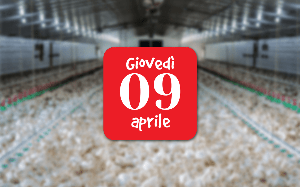 Allevamenti intensivi – incontro a&nbsp;Belluno