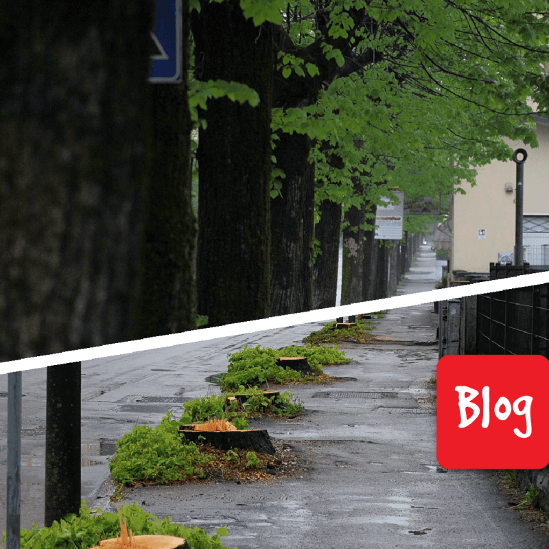 Che il Comune ci dia un taglio (a proposito di via&nbsp;Feltre)