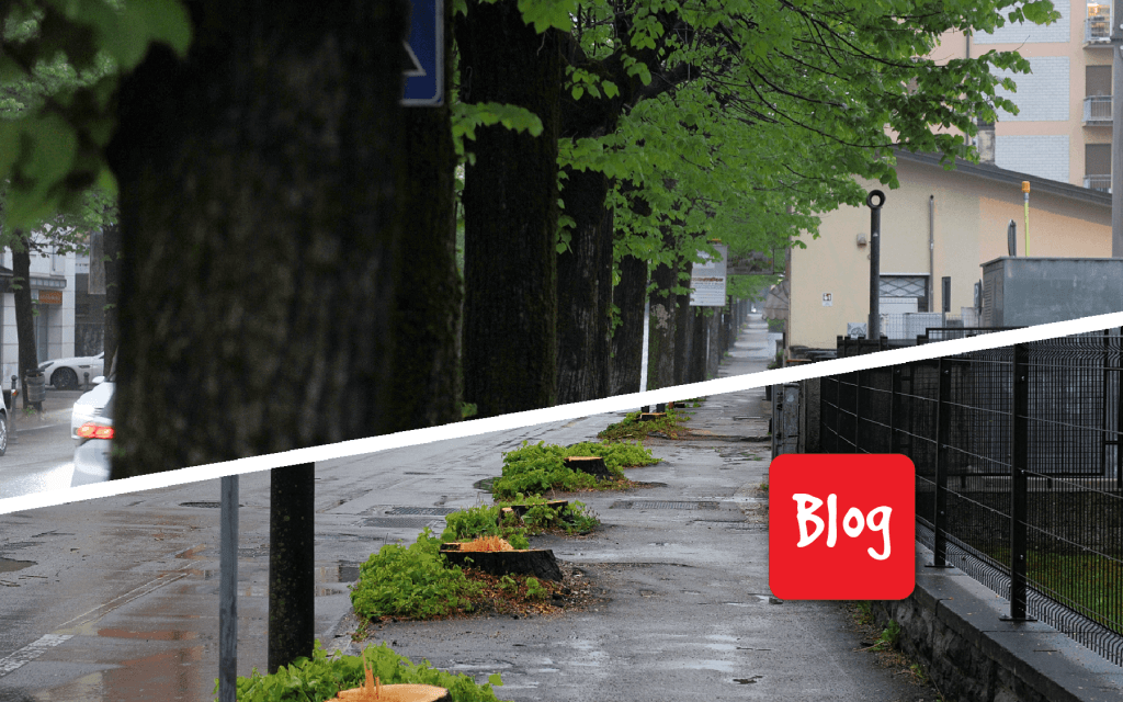 Che il Comune ci dia un taglio (a proposito di via&nbsp;Feltre)