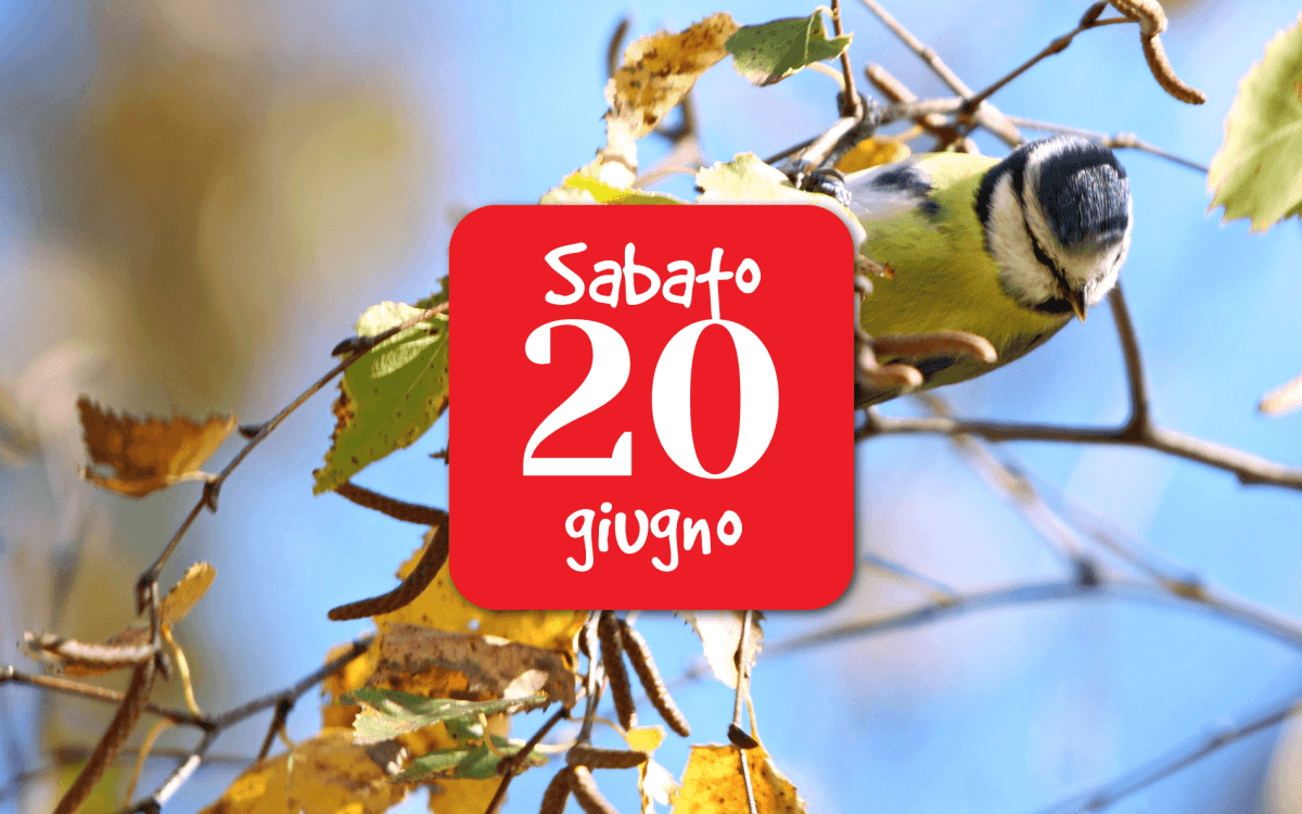 Conferenza “L’importanza delle siepi per la biodiversità”