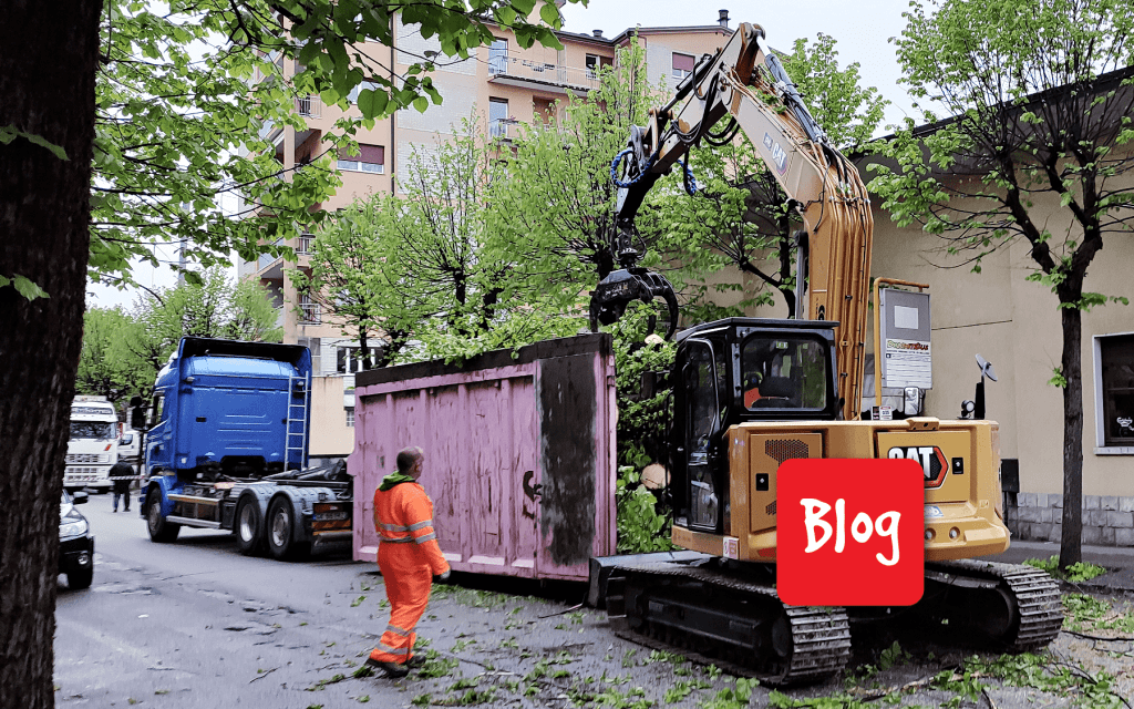 Quanti alberi sono rimasti a&nbsp;Belluno?
