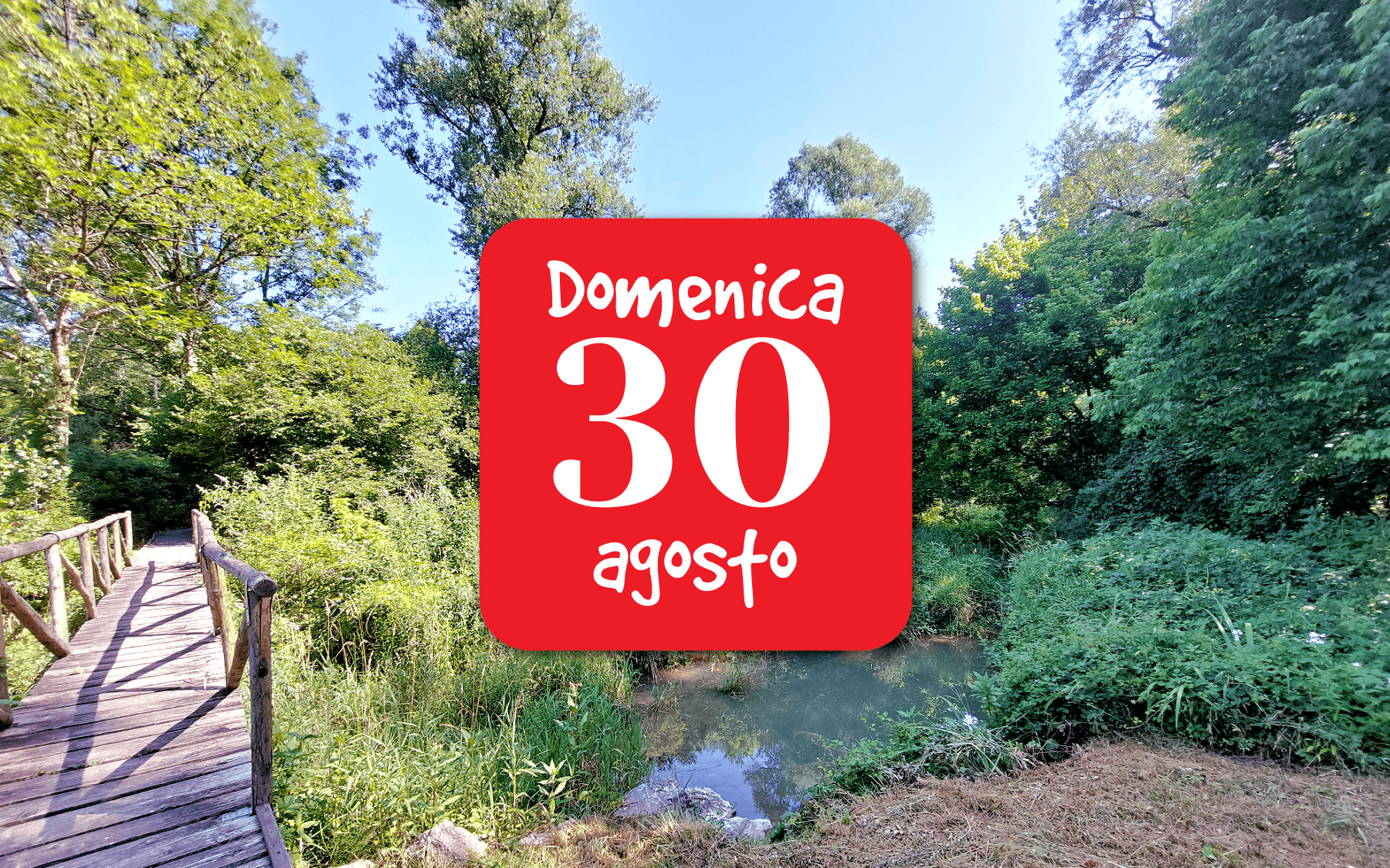 Passeggiata e disegno en plein air ai Laghetti della Rimonta