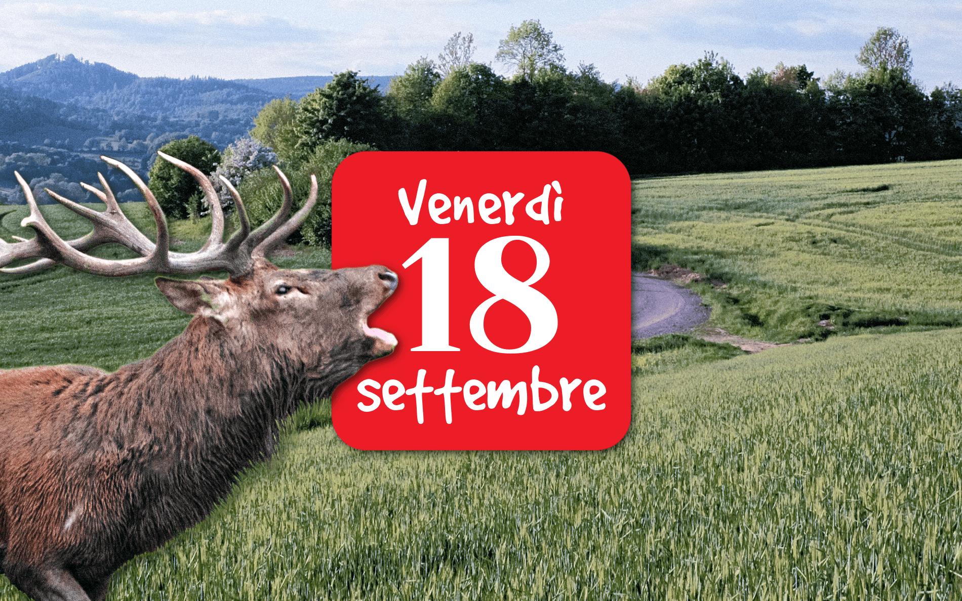 Pieve di Cadore – Incontro “Attacco alla Natura”