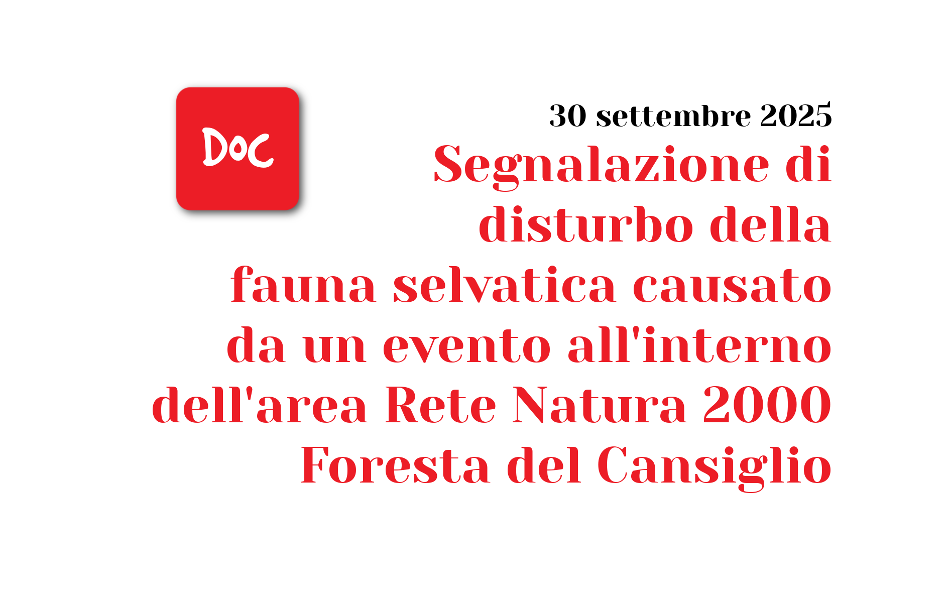 Segnalazione di disturbo della fauna selvatica causato da un evento all’interno dell’area Rete Natura 2000 Foresta del Cansiglio
