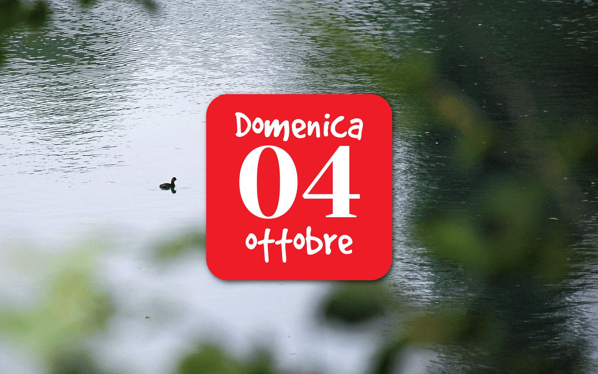 Eurobirdwatch 2026 al Vincheto di Celarda